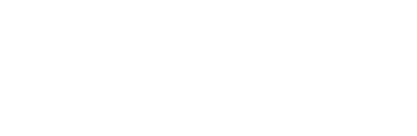 Statamic